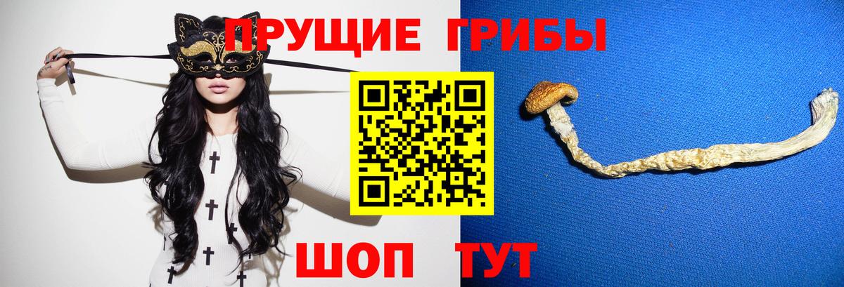 Туапсе  Галлюциногенные грибы прущие грибы  Галлюциногенные грибы мухоморы  Вход с VPN 